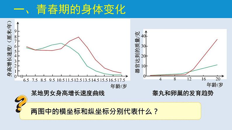 统编版七年级生物下册 第四单元 第一章 第三节 青春期  （课件）02