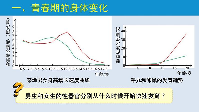 统编版七年级生物下册 第四单元 第一章 第三节 青春期  （课件）05