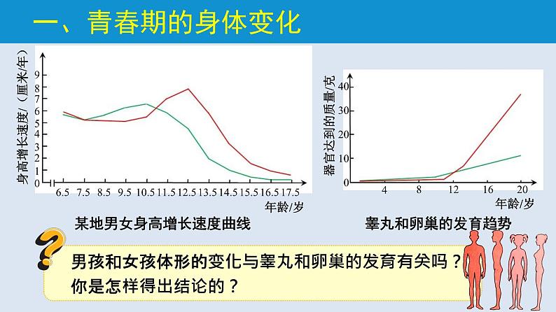 统编版七年级生物下册 第四单元 第一章 第三节 青春期  （课件）06