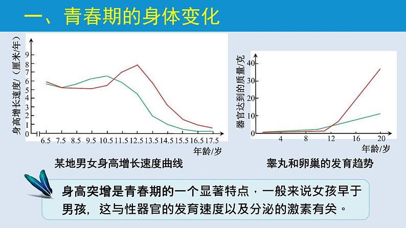 统编版七年级生物下册 第四单元 第一章 第三节 青春期  （课件）07