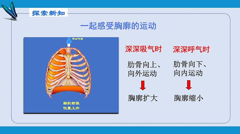 部编版七年级生物下册 第四单元 第三章 第二节 发生在肺内的气体交换（课件）第8页