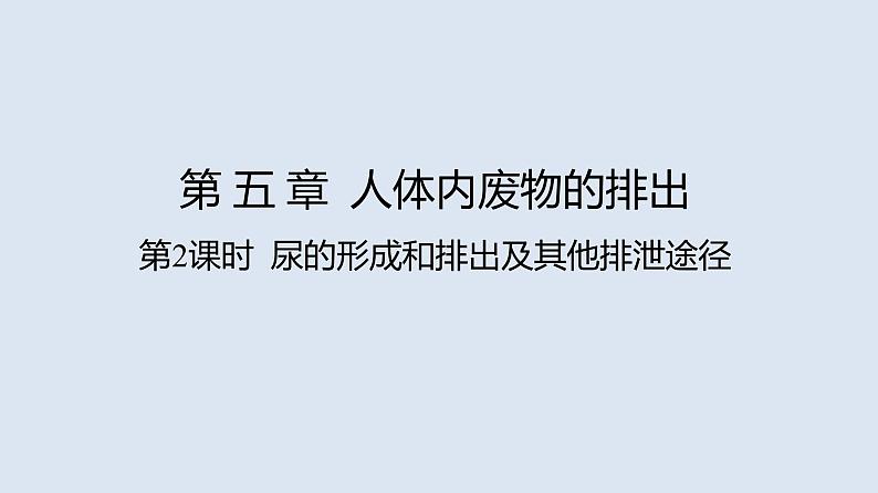 部编版七年级生物下册 第四单元 第五章 人体内废物的排出 第二课时（课件）第1页