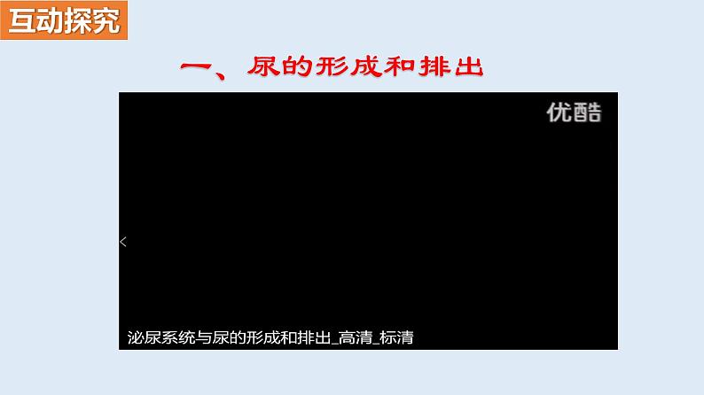 部编版七年级生物下册 第四单元 第五章 人体内废物的排出 第二课时（课件）第3页