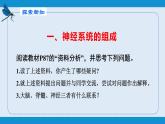 部编版七年级生物下册 第四单元 第六章 第二节 神经系统的组成 （课件）