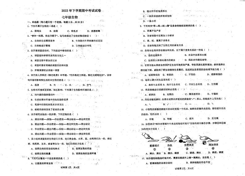 湖南省衡阳市实验中学2023-2024学年七年级上学期期中生物试卷01