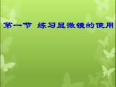 2.1.1++练习使用显微镜++说课课件-2023-2024学年人教版生物七年级上册(2)