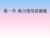 2.1.1++练习使用显微镜++说课课件-2023-2024学年人教版生物七年级上册(1)