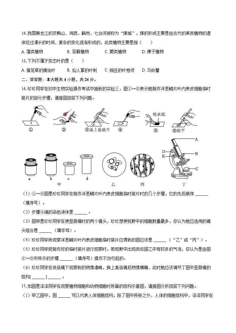 2023-2024学年广西钦州市浦北县七年级（上）期中生物试卷（含解析）03