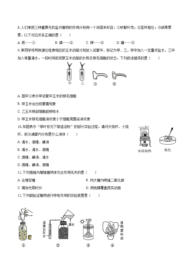 2023-2024学年广西百色市西林县民族中学八年级（上）期中生物试卷（含解析）02