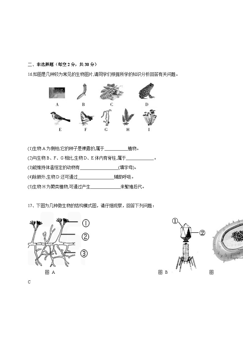 2023-2024学年甘肃省定西市临洮县八年级上学期12月月考生物模拟试题（含答案）03