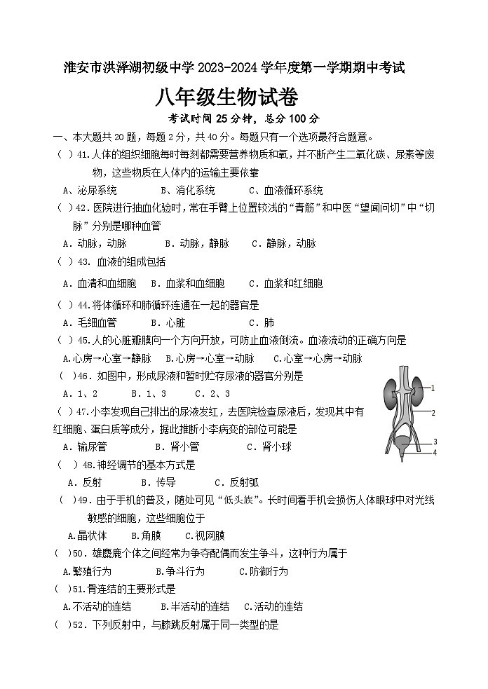 江苏省淮安市洪泽湖初级中学2023-2024学年八年级上学期期中考试生物试卷01
