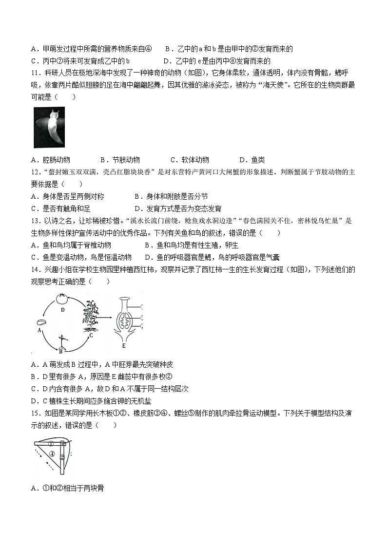 2023年山东省东营市生物中考真题（含答案）03