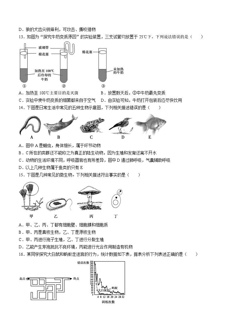 河南省许昌市长葛市2023-2024学年八年级上学期期中生物试题第3页