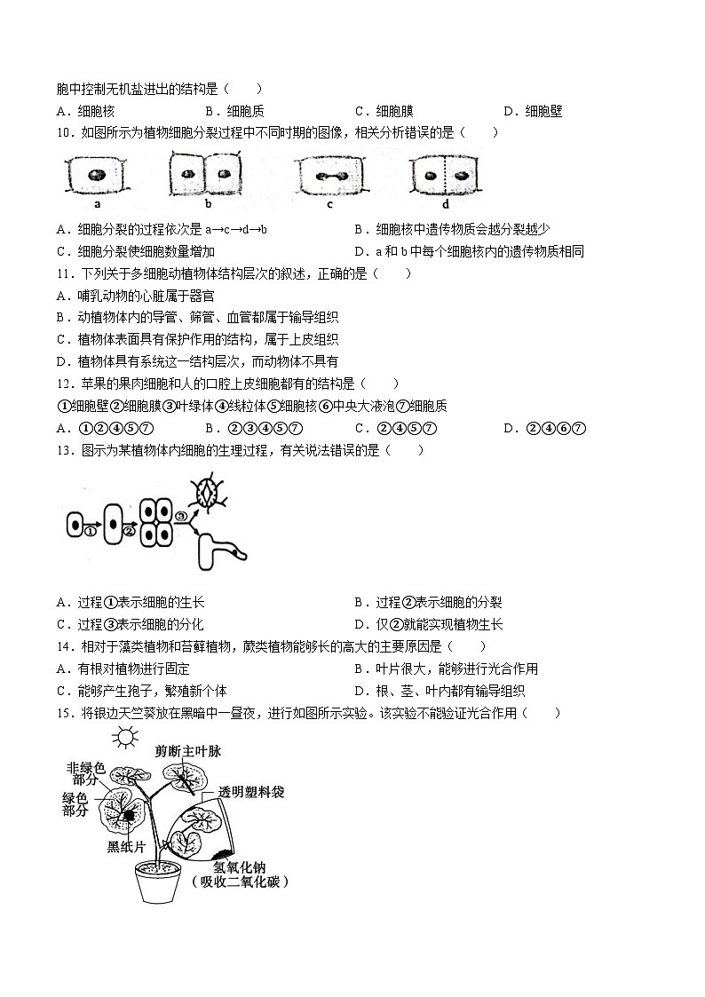 山东省济宁市鱼台县2023-2024学年七年级上学期期中生物试题02