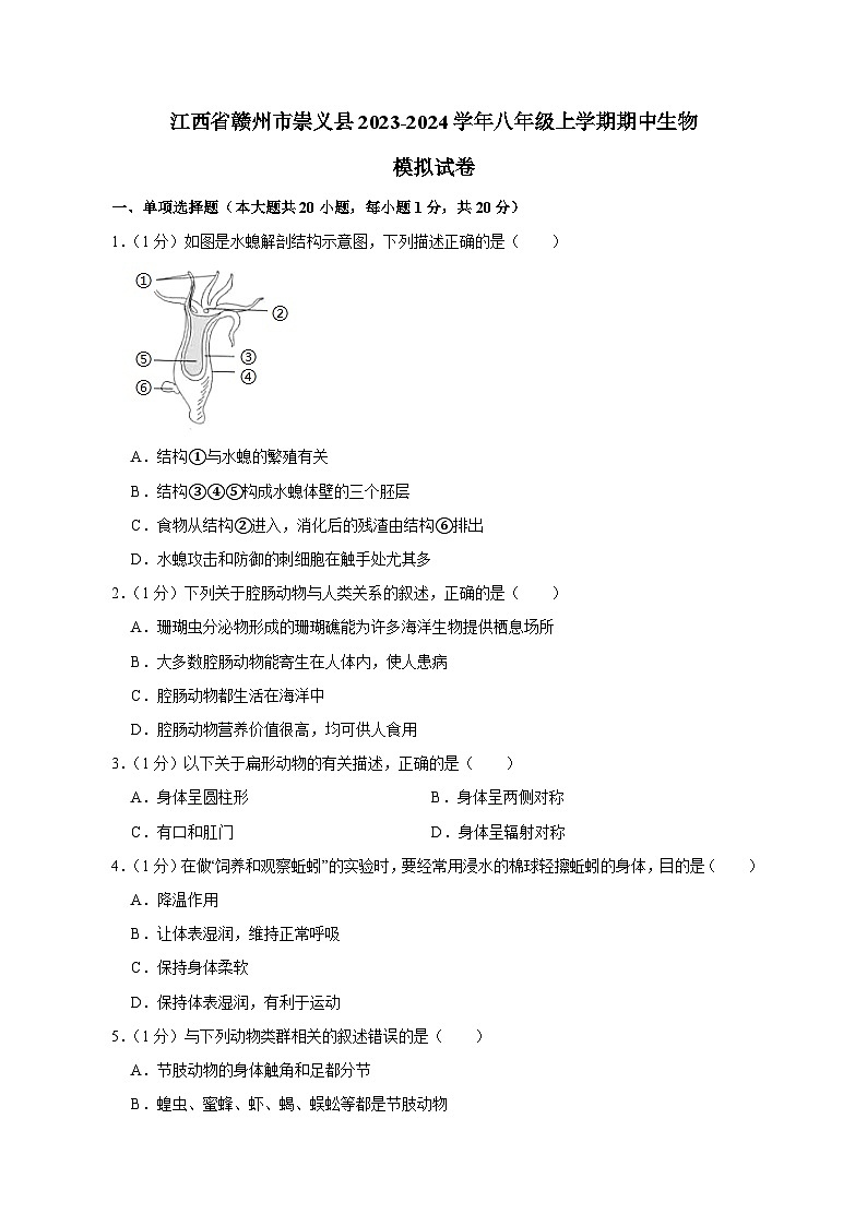 江西省赣州市崇义县2023-2024学年八年级上学期期中生物模拟试卷（含答案）第1页