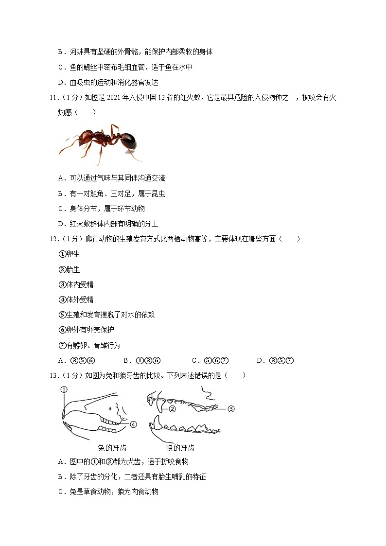 江西省赣州市崇义县2023-2024学年八年级上学期期中生物模拟试卷（含答案）第3页