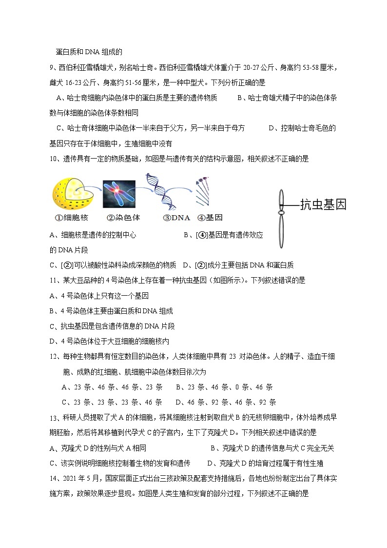内蒙古乌兰察布市化德县2023-2024学年八年级上学期月考生物模拟试题（含答案）02