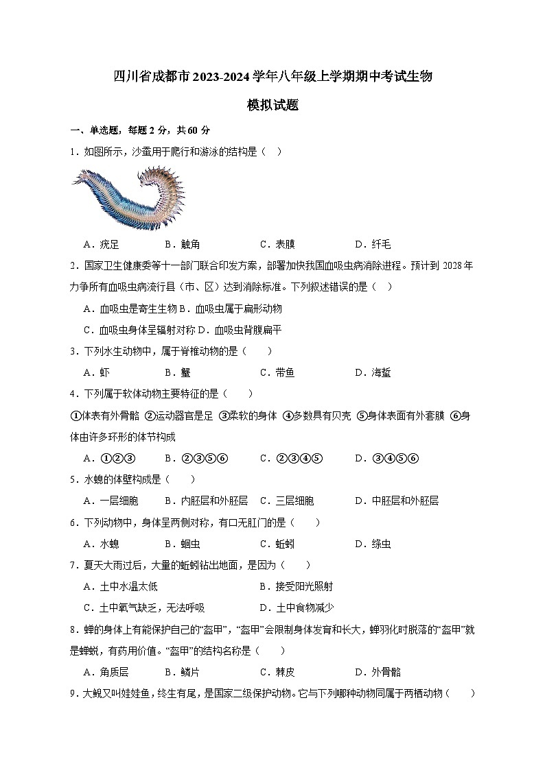 四川省成都市2023-2024学年八年级上学期期中考试生物模拟试题（含答案）第1页
