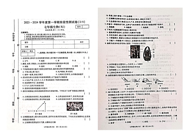 河南省漯河市临颍县2023-2024学年七年级上学期第三次月考生物试题01
