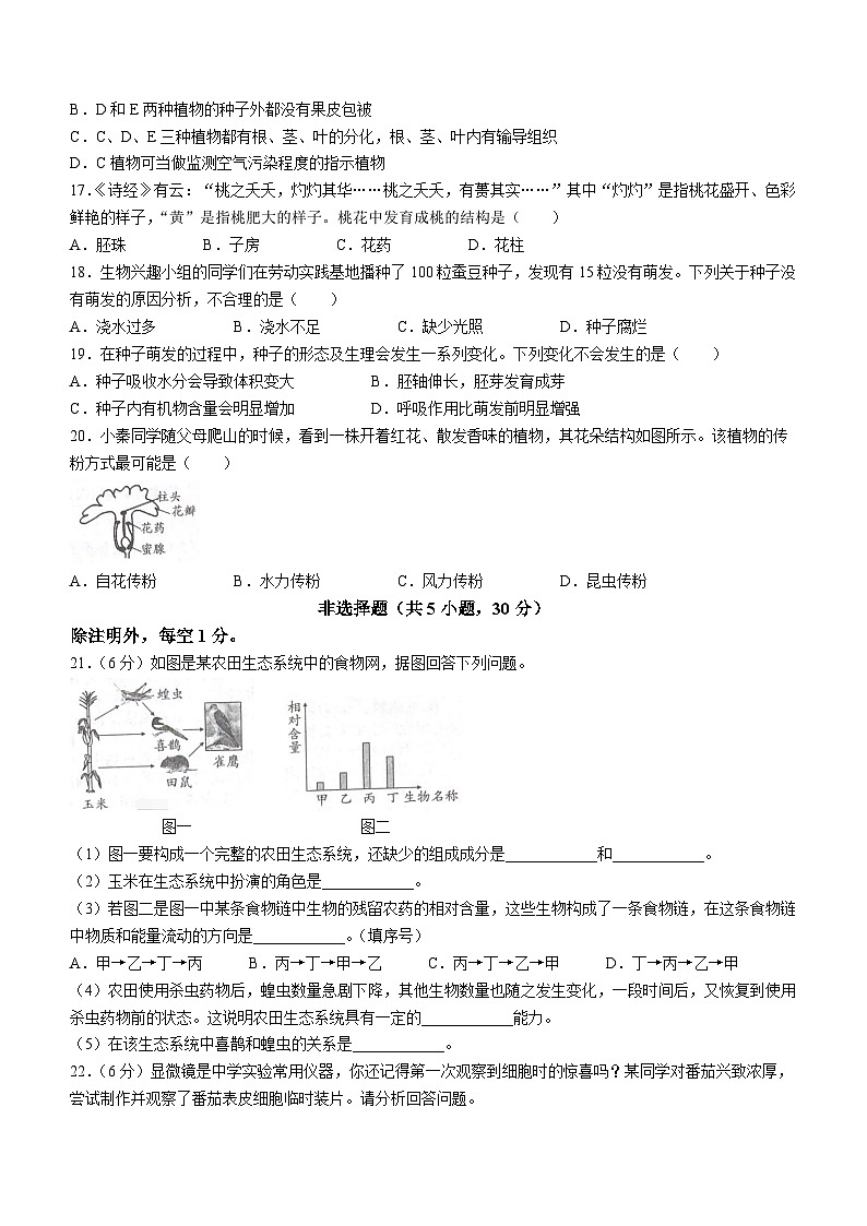 河南省商丘市夏邑县私立初中联考2023-2024学年七年级上学期12月月考生物试题第3页