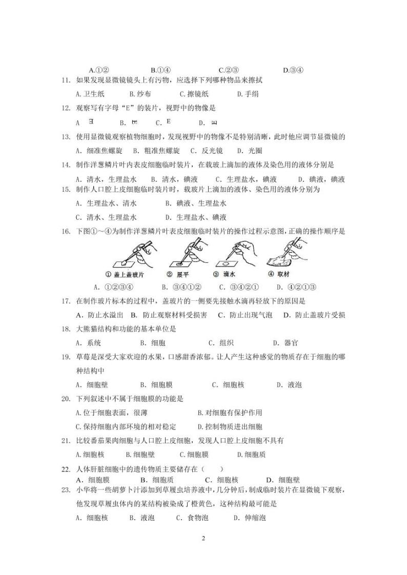 北京市顺义区杨镇第二中学2023-2024学年七年级上学期生物阶期中检测试题02