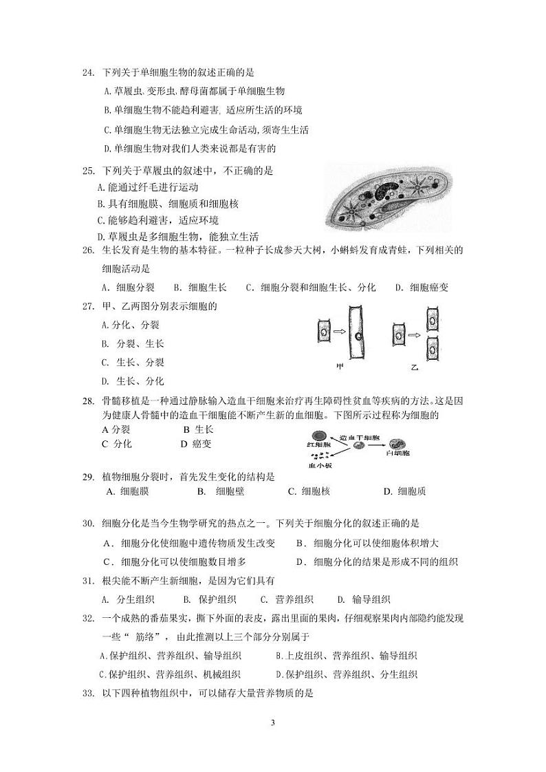 北京市顺义区杨镇第二中学2023-2024学年七年级上学期生物阶期中检测试题03