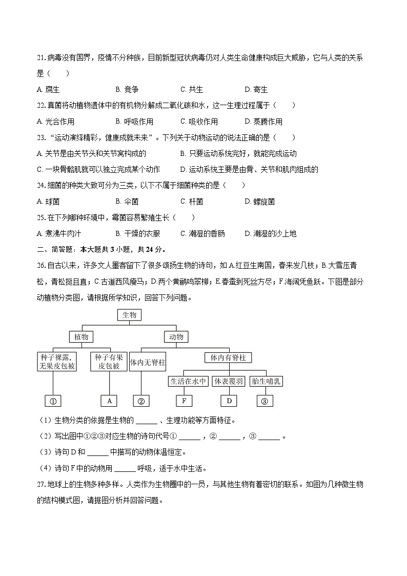 2022-2023学年安徽省六安市金寨县八年级（上）期末生物试卷(含详细答案解析)03