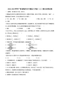 2022-2023学年广东省梅州市丰顺县八年级（上）期末生物试卷(含详细答案解析)