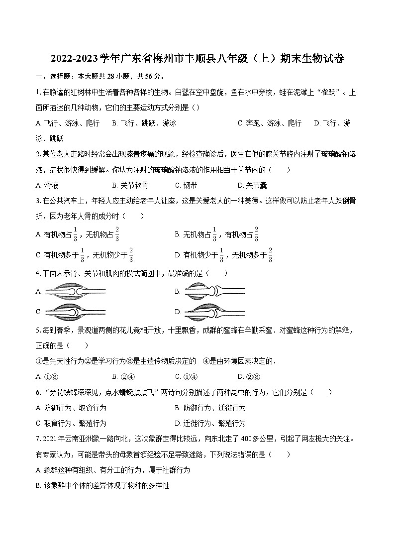 2022-2023学年广东省梅州市丰顺县八年级（上）期末生物试卷(含详细答案解析)第1页