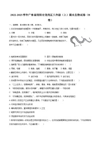 2022-2023学年广东省深圳市龙岗区八年级（上）期末生物试卷（B卷）(含详细答案解析)