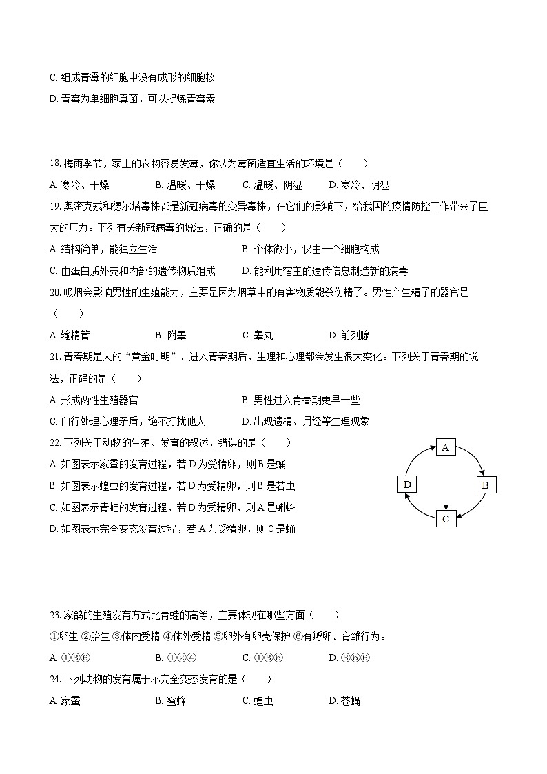 2022-2023学年广东省湛江市徐闻县八年级（上）期末生物试卷(含详细答案解析)03