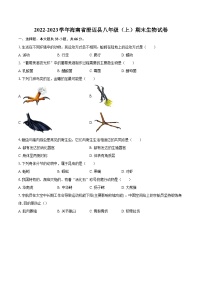 2022-2023学年海南省澄迈县八年级（上）期末生物试卷(含详细答案解析)