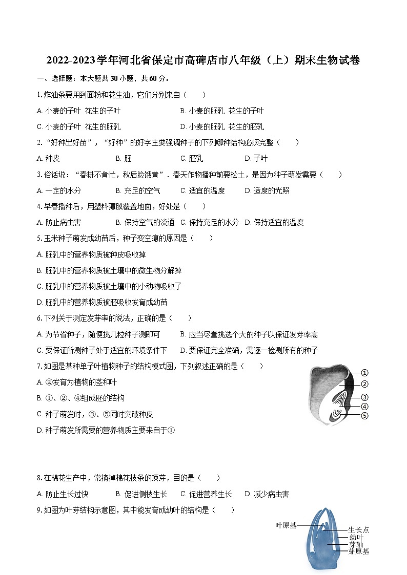 2022-2023学年河北省保定市高碑店市八年级（上）期末生物试卷（含详细答案解析）第1页