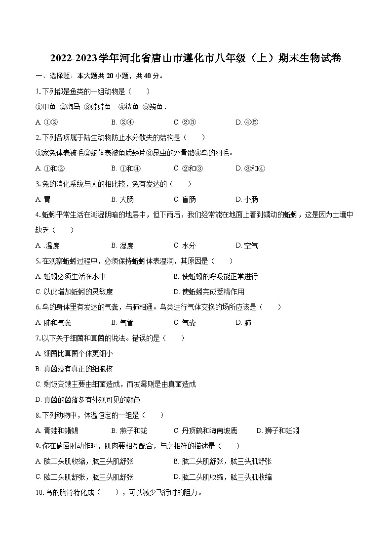 2022-2023学年河北省唐山市遵化市八年级（上）期末生物试卷（含详细答案解析）第1页