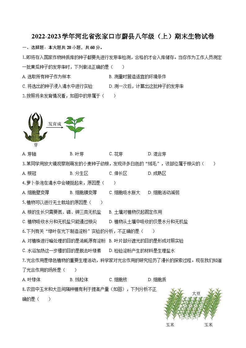2022-2023学年河北省张家口市蔚县八年级（上）期末生物试卷（含详细答案解析）01