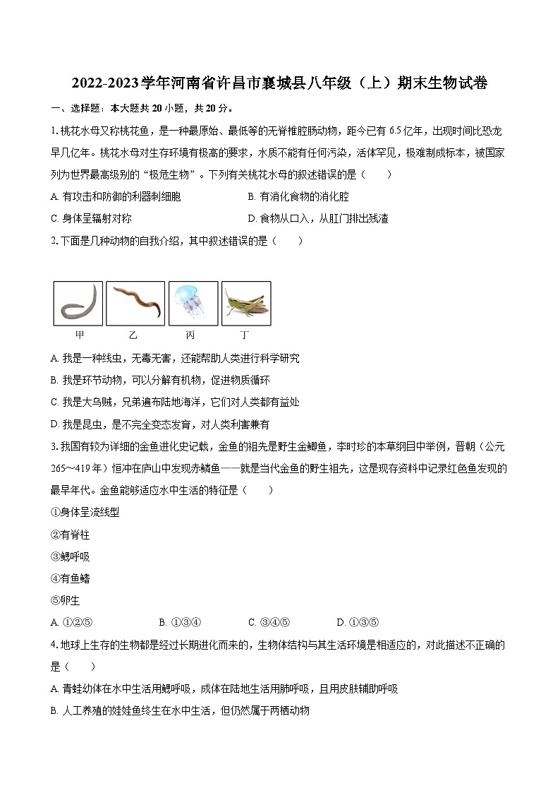 2022-2023学年河南省许昌市襄城县八年级（上）期末生物试卷(含详细答案解析)01