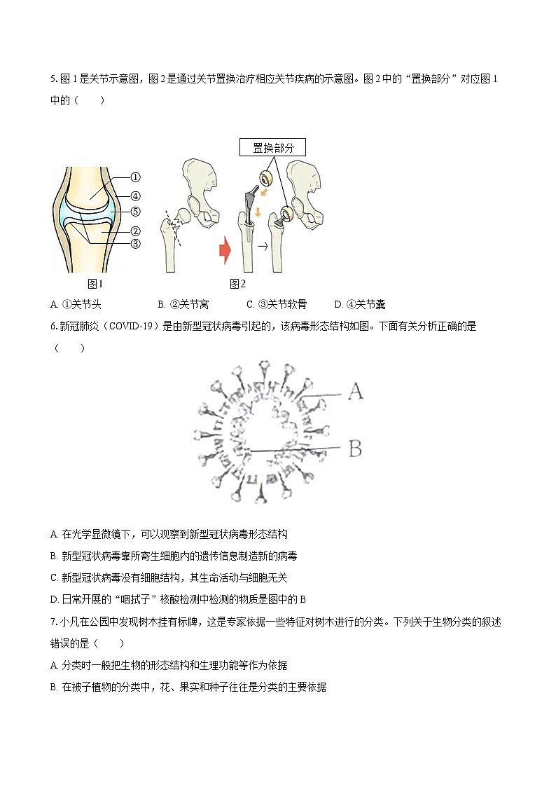 2022-2023学年湖北省黄冈市八年级（上）期末生物试卷(含详细答案解析)02