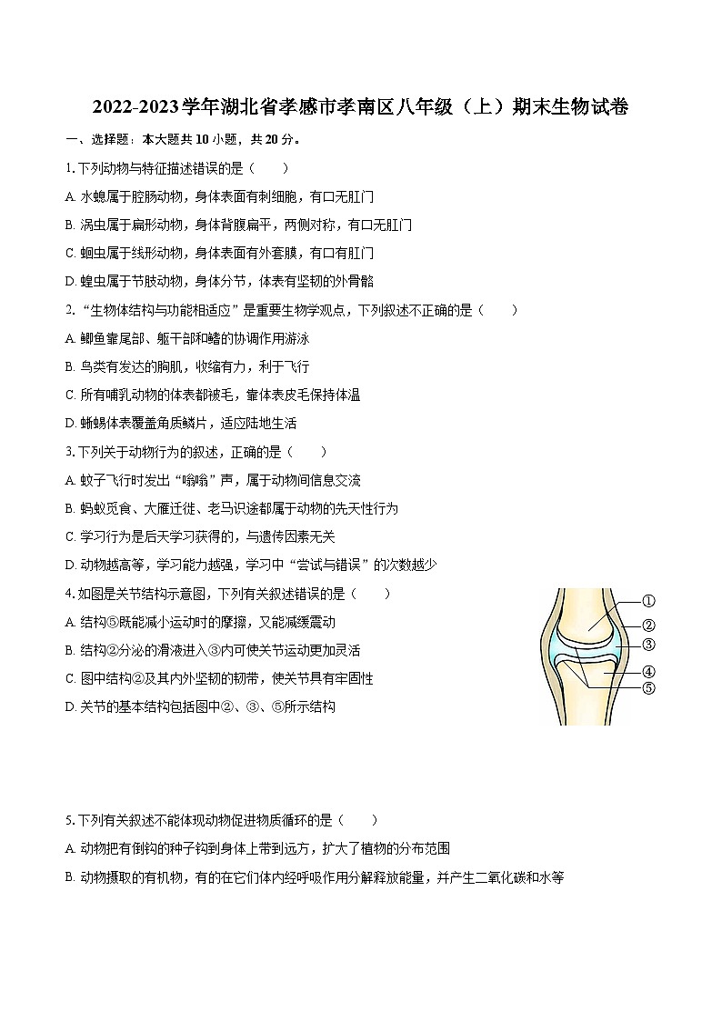 2022-2023学年湖北省孝感市孝南区八年级（上）期末生物试卷(含详细答案解析)第1页