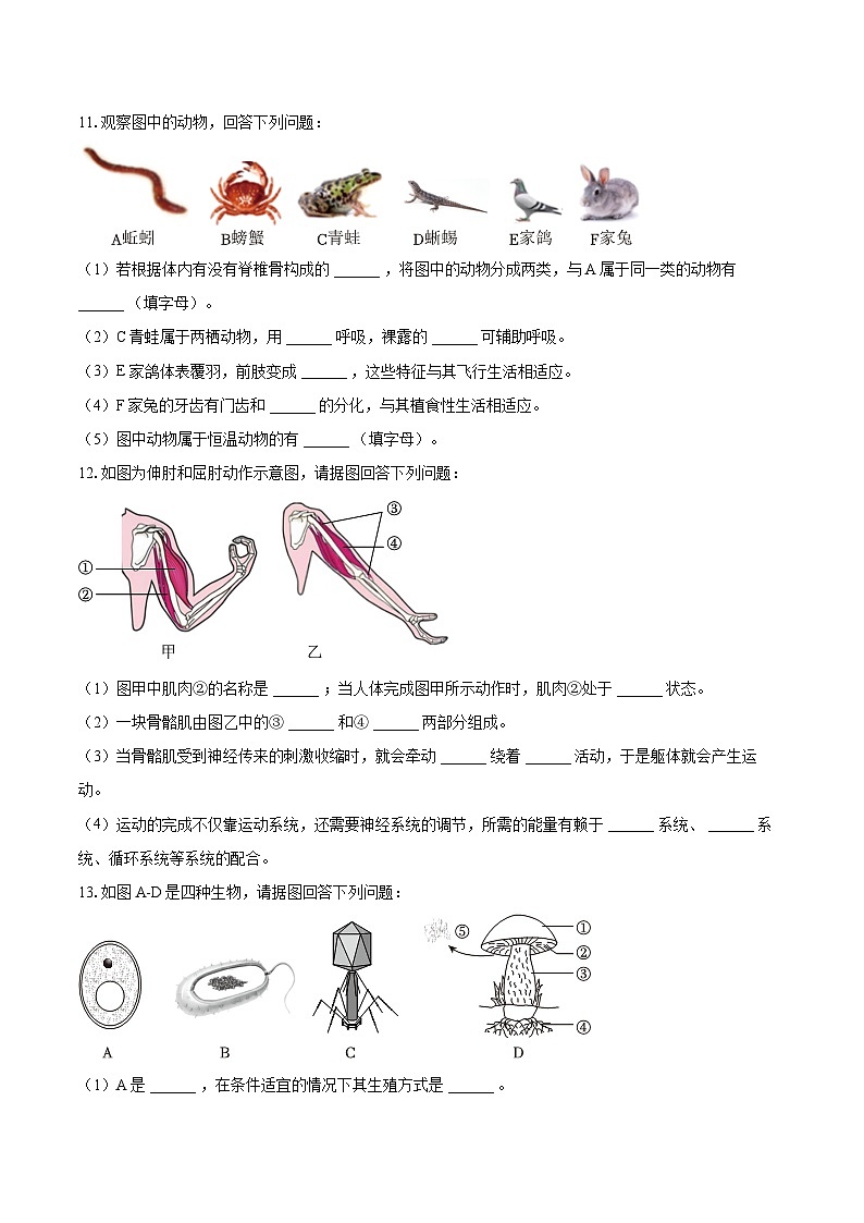 2022-2023学年湖北省孝感市孝南区八年级（上）期末生物试卷(含详细答案解析)第3页