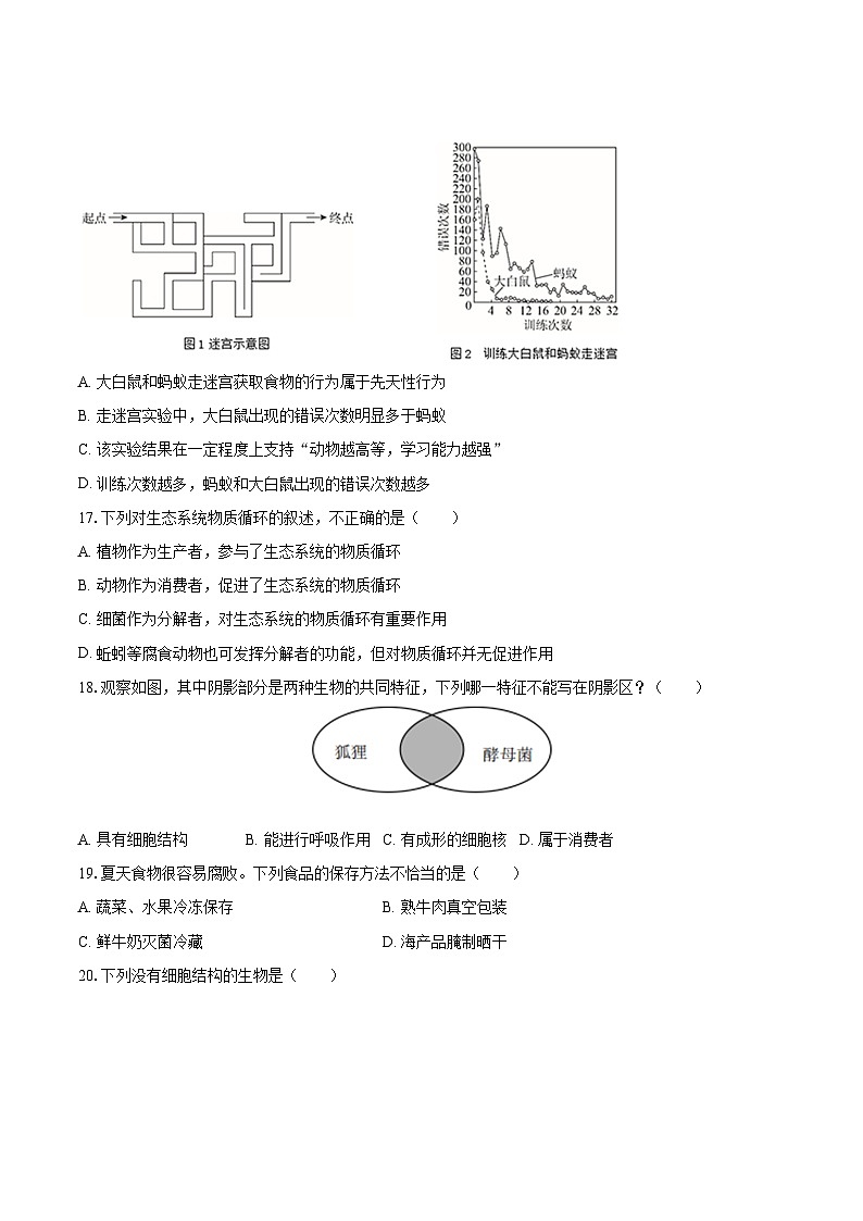 2022-2023学年湖南省邵阳市新邵县八年级（上）期末生物试卷(含详细答案解析)03