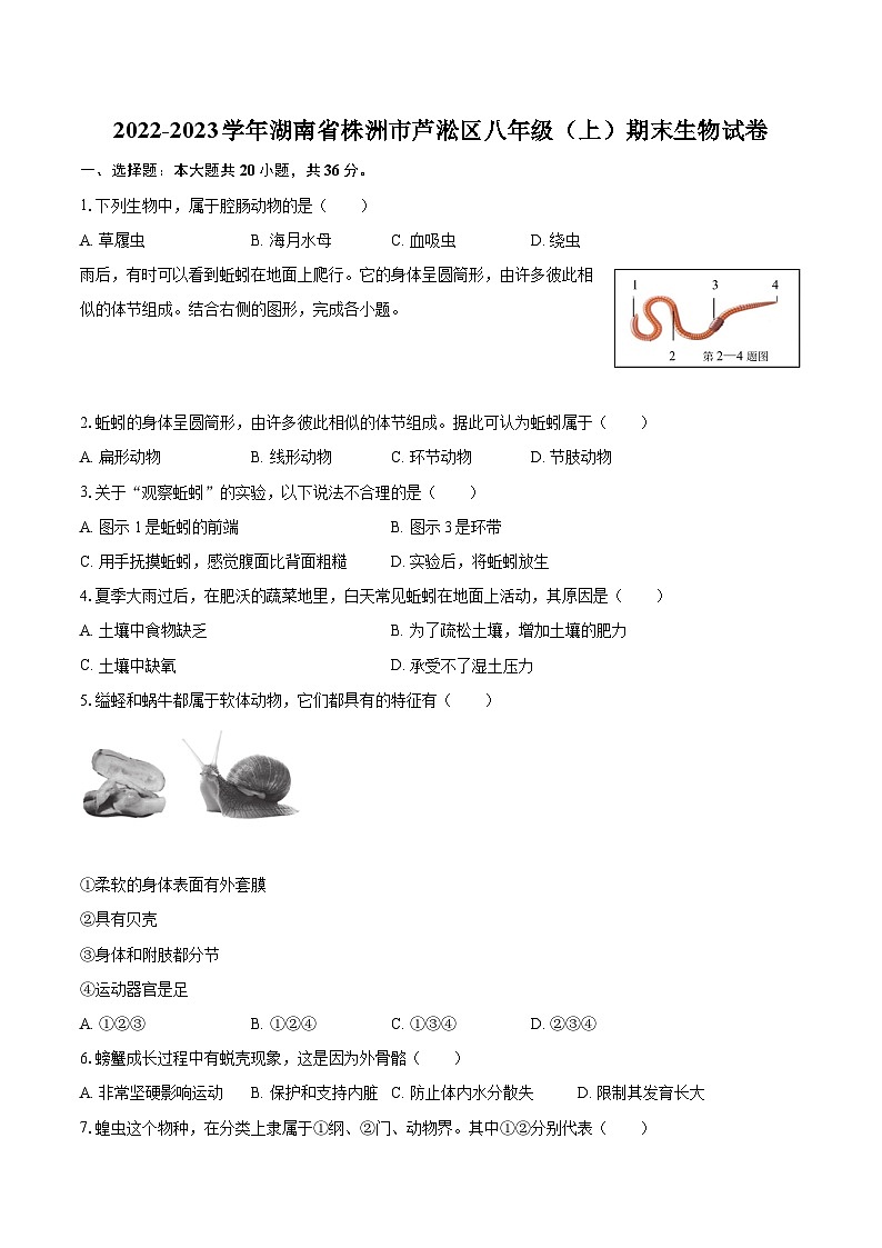 2022-2023学年湖南省株洲市芦淞区八年级（上）期末生物试卷(含详细答案解析)01