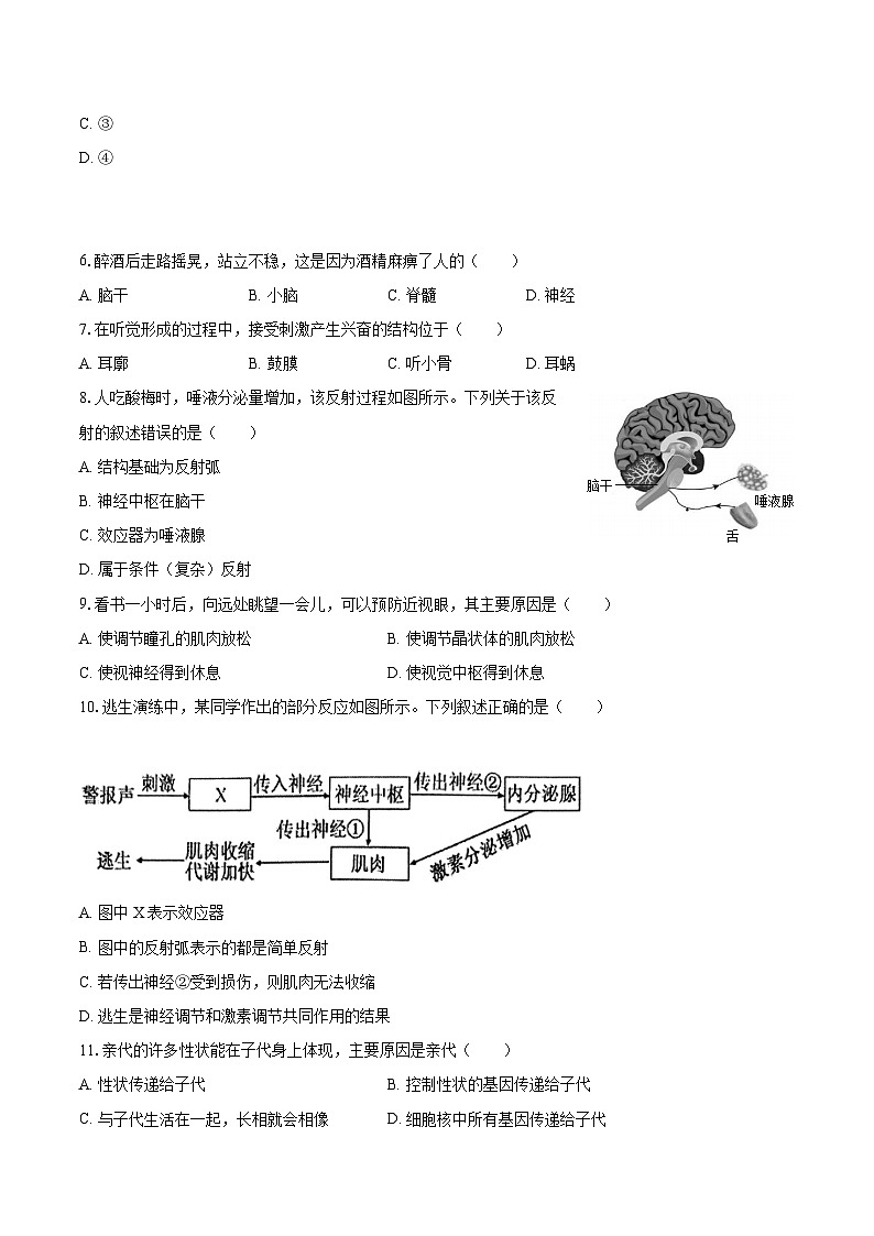 2022-2023学年江苏省泰州市兴化市八年级（上）期末生物试卷（含详细答案解析）第2页
