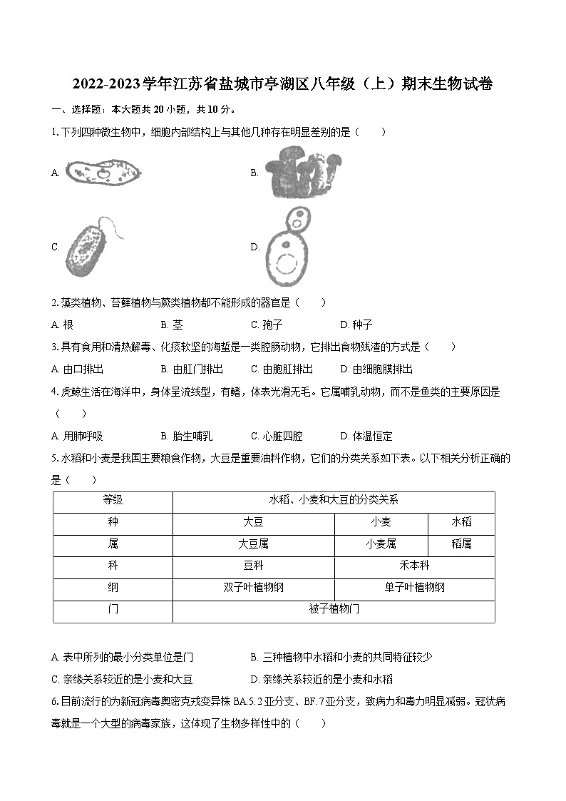 2022-2023学年江苏省盐城市亭湖区八年级（上）期末生物试卷（含详细答案解析）01