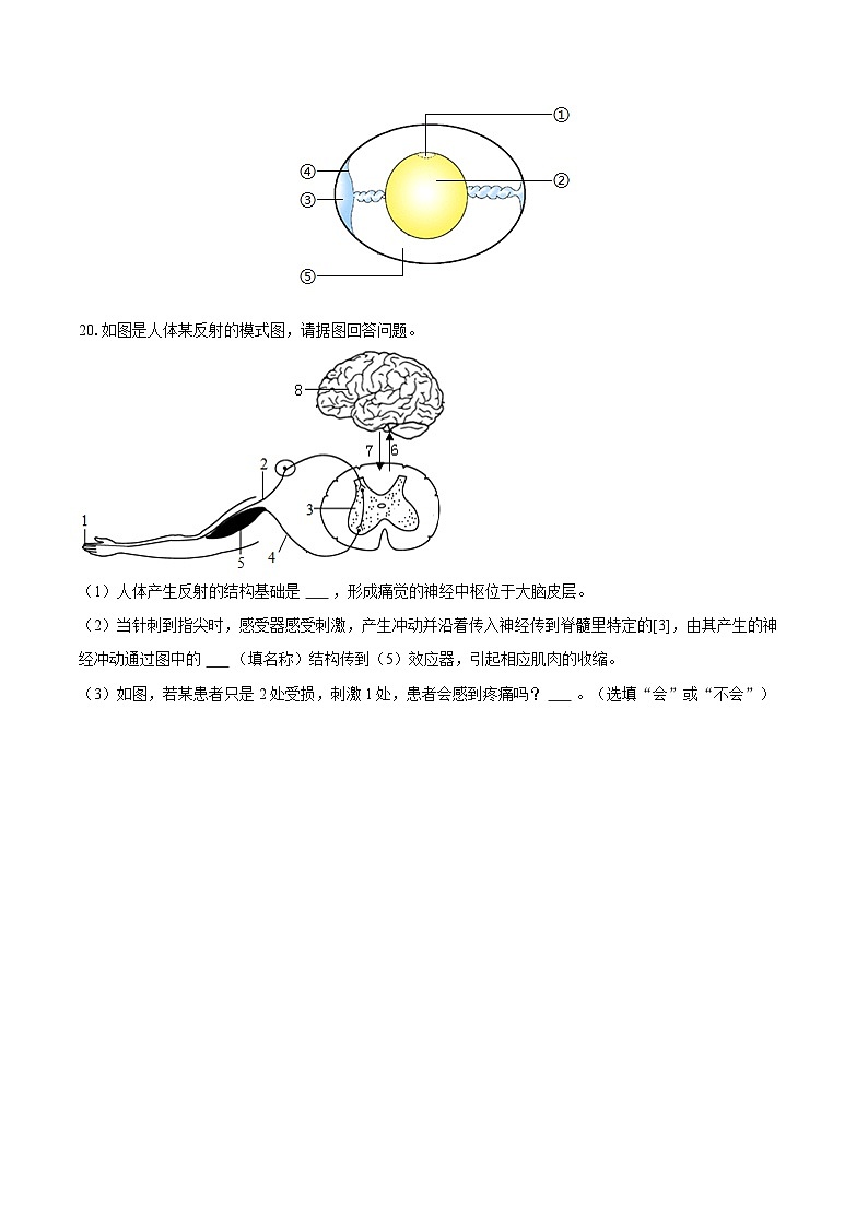 2022-2023学年江苏省扬州市宝应县八年级（上）期末生物试卷（含详细答案解析）第3页