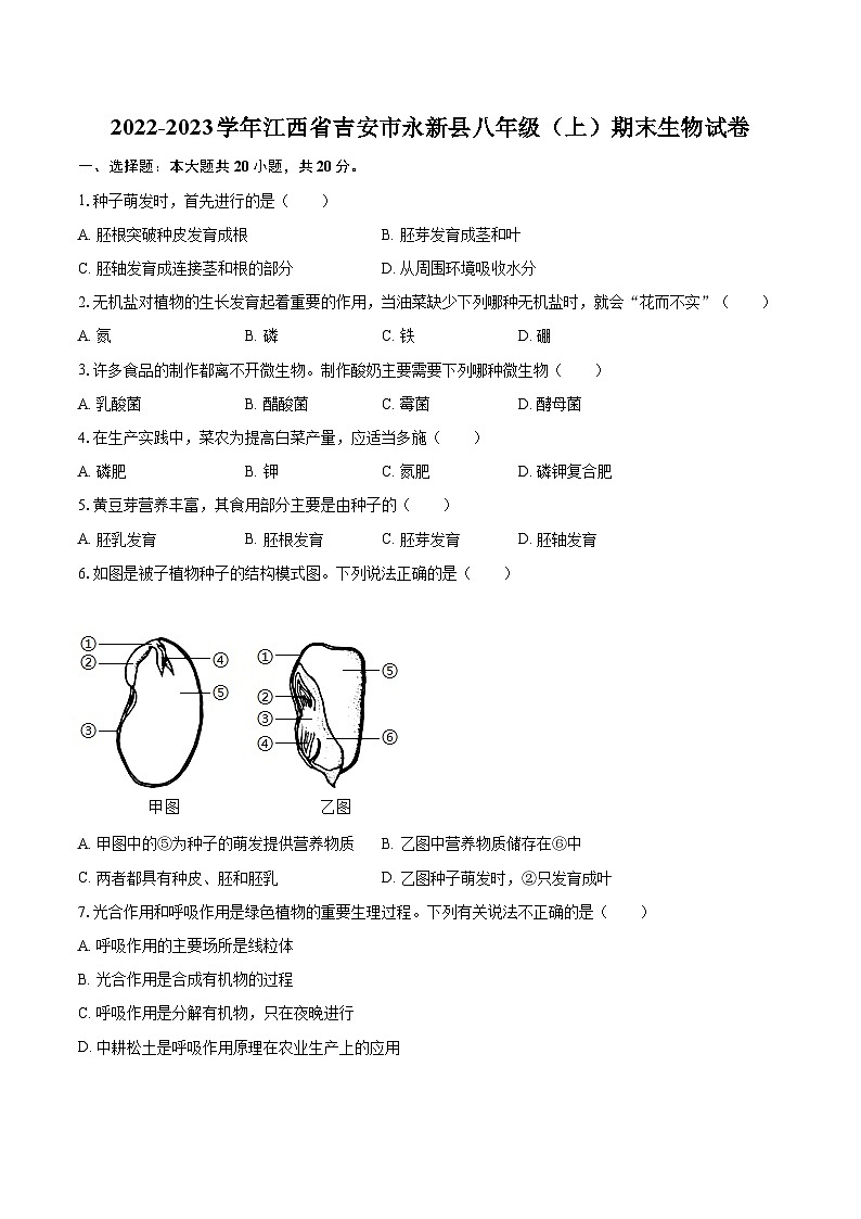 2022-2023学年江西省吉安市永新县八年级（上）期末生物试卷(含详细答案解析)01