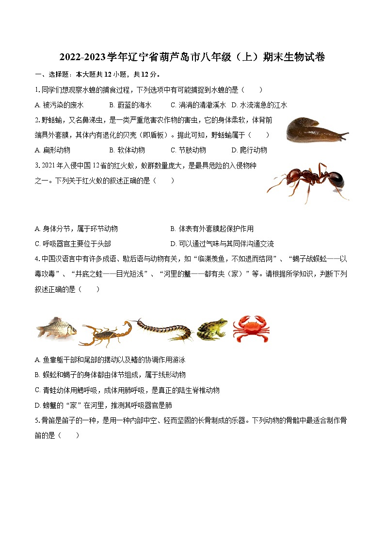 2022-2023学年辽宁省葫芦岛市八年级（上）期末生物试卷（含详细答案解析）第1页