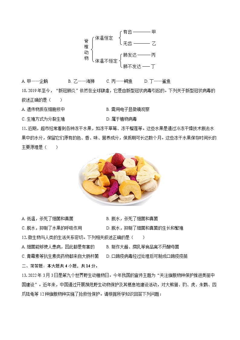 2022-2023学年辽宁省葫芦岛市八年级（上）期末生物试卷（含详细答案解析）第3页