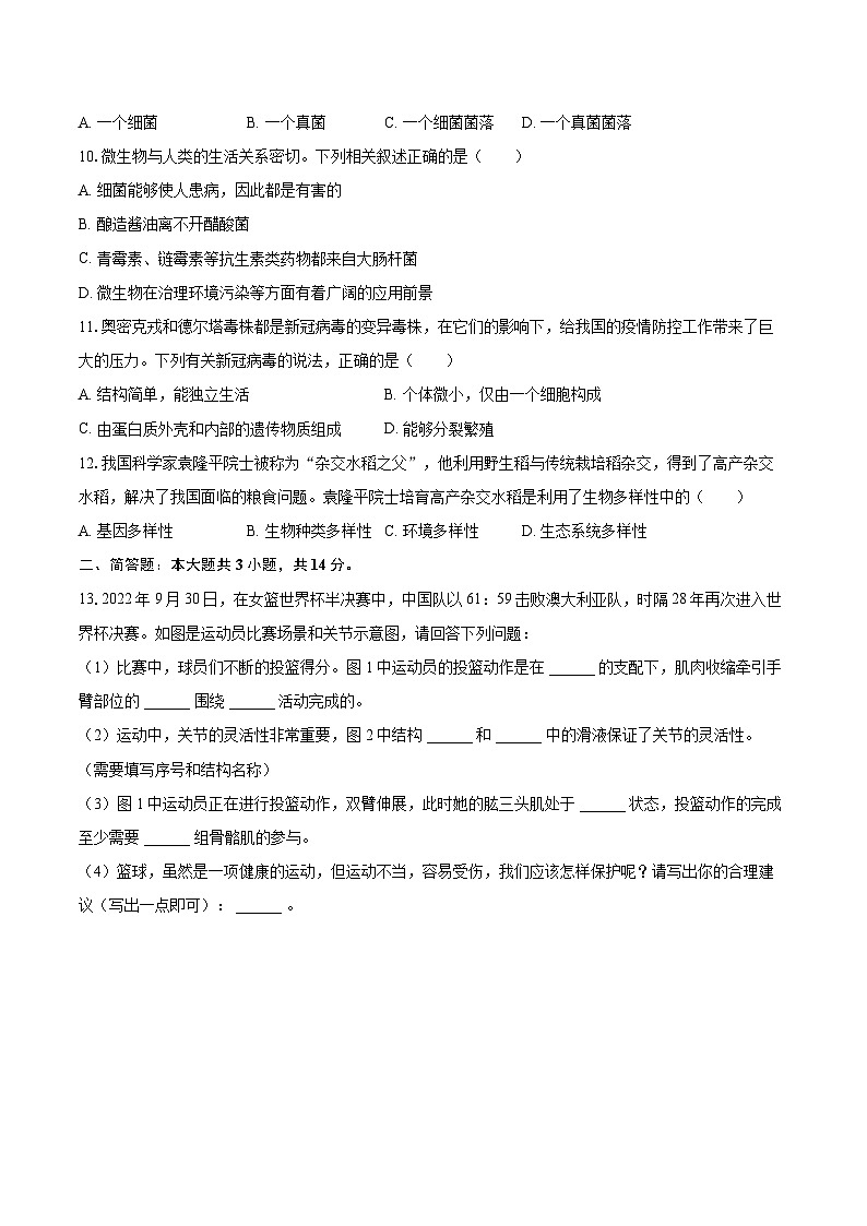 2022-2023学年辽宁省葫芦岛市建昌县八年级（上）期末生物试卷（含详细答案解析）第2页