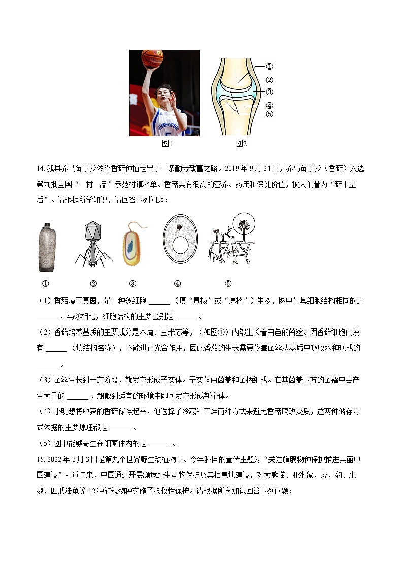 2022-2023学年辽宁省葫芦岛市建昌县八年级（上）期末生物试卷（含详细答案解析）第3页