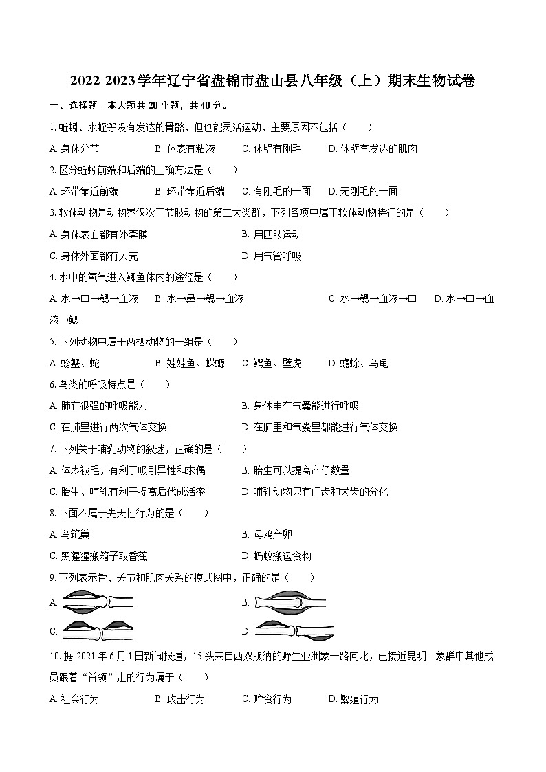 2022-2023学年辽宁省盘锦市盘山县八年级（上）期末生物试卷（含详细答案解析）第1页